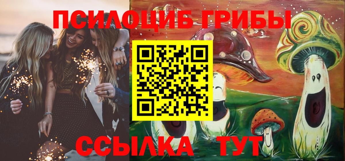 Псилоцибиновые грибы Cubensis Заречный