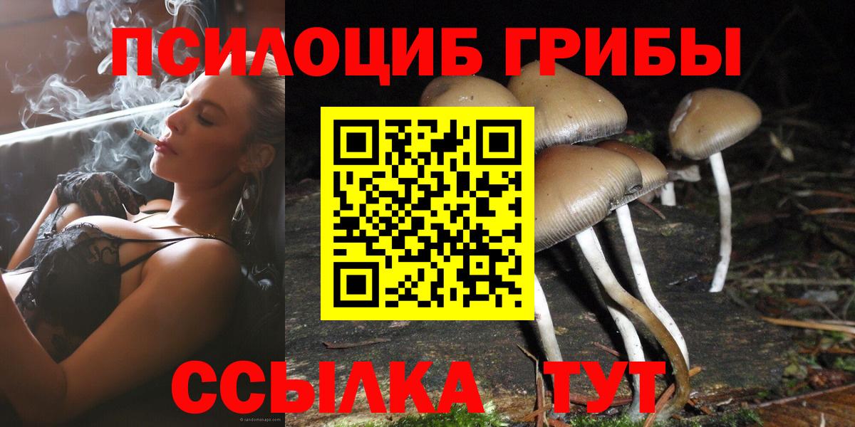 Галлюциногенные грибы Psilocybine cubensis  Заречный 